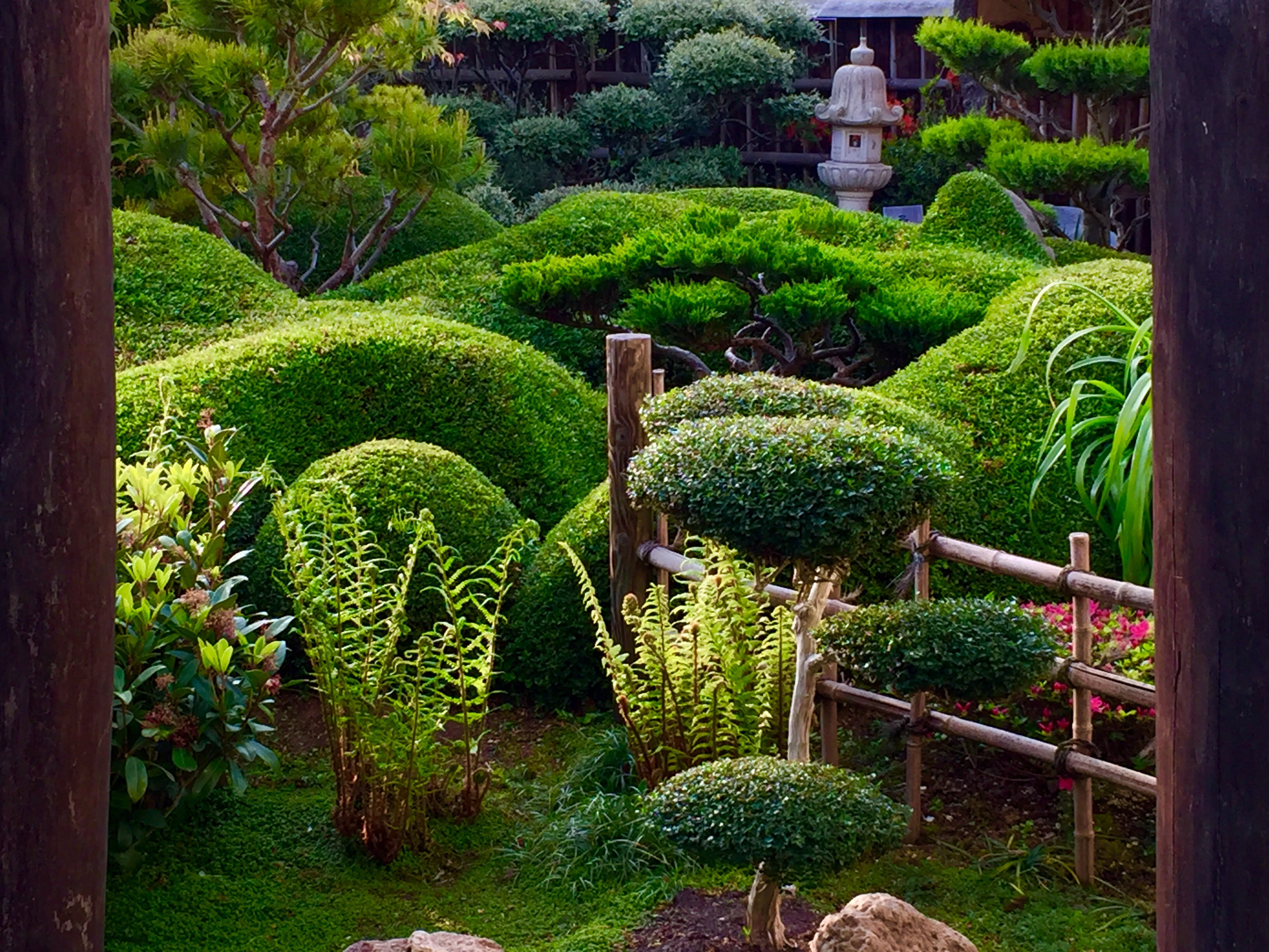 ESPRIT ZEN Le raffinement et l'harmonie dans votre jardin